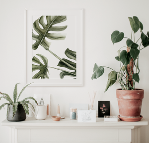 Monstera Art Print