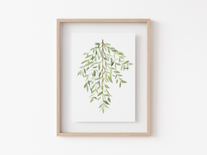 Gunni Eucalyptus Art Print