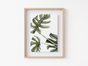 Monstera Art Print