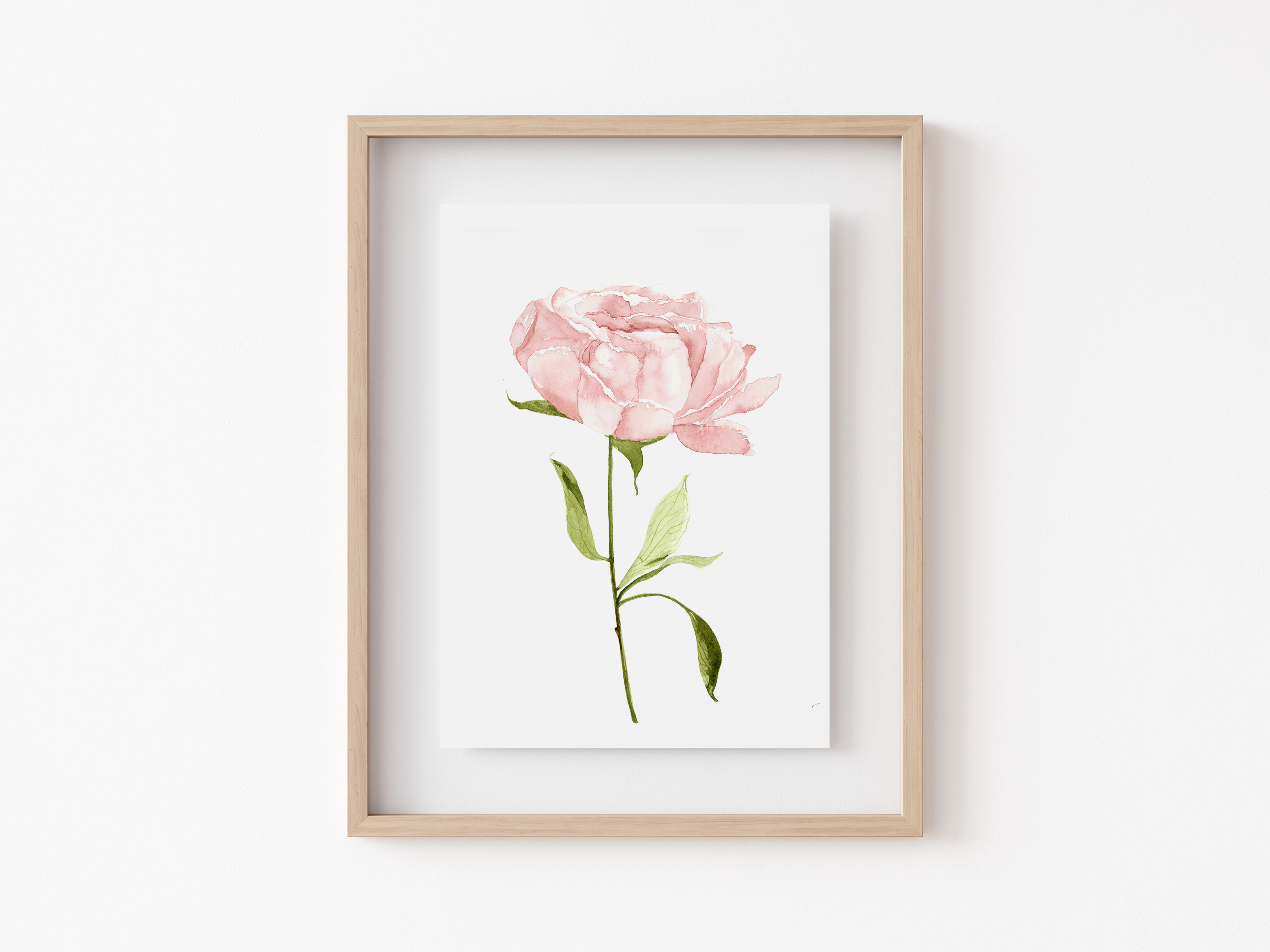 Pink Peony Art Print