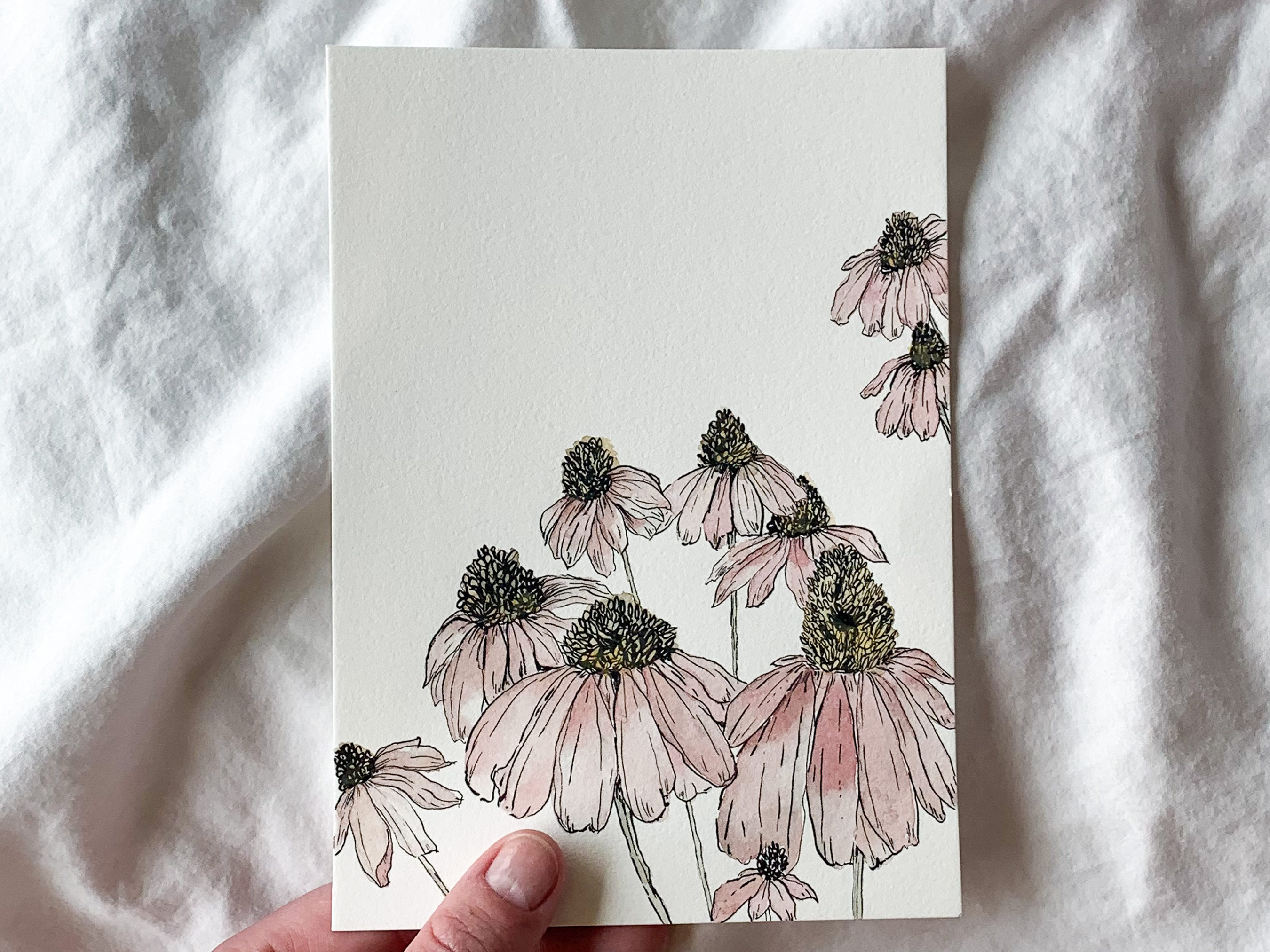 Original Echinacea Artwork