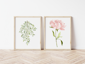 Pink Peony Art Print