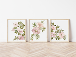 Load image into Gallery viewer, Set of Two Pink Wild Roses Art Print
